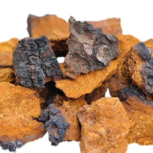 chaga brocken einzel