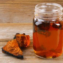chaga pilz teekanne brocken